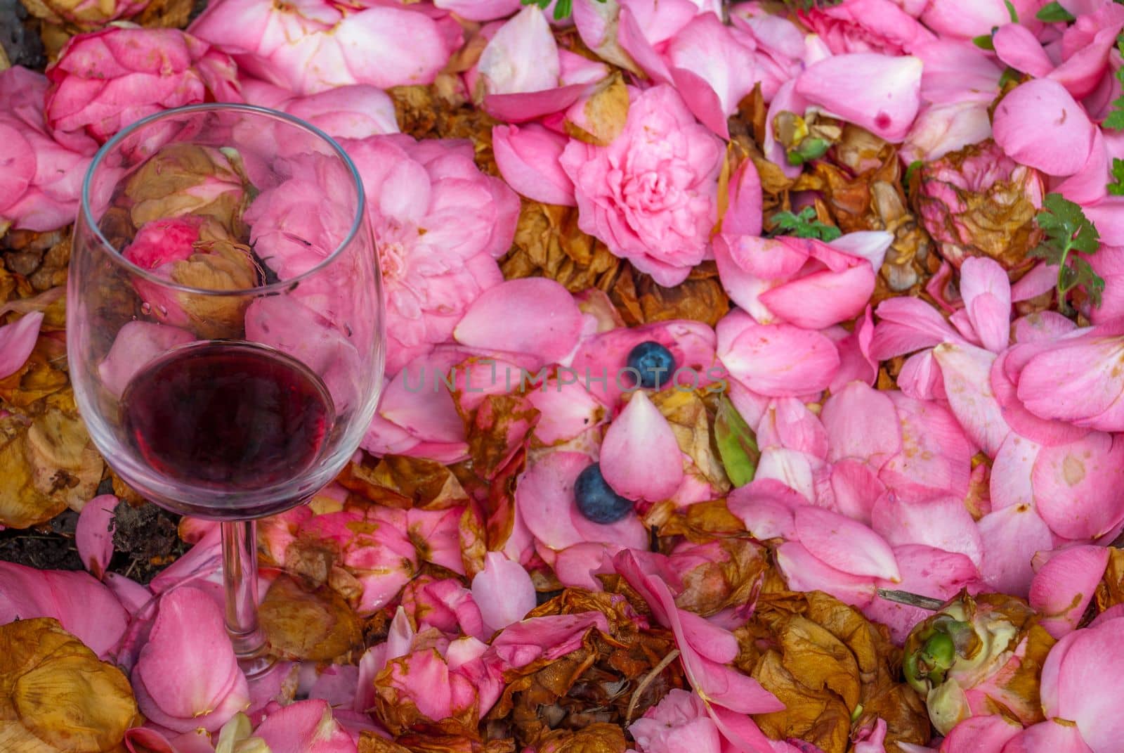 Wine glasses in pink rose garden