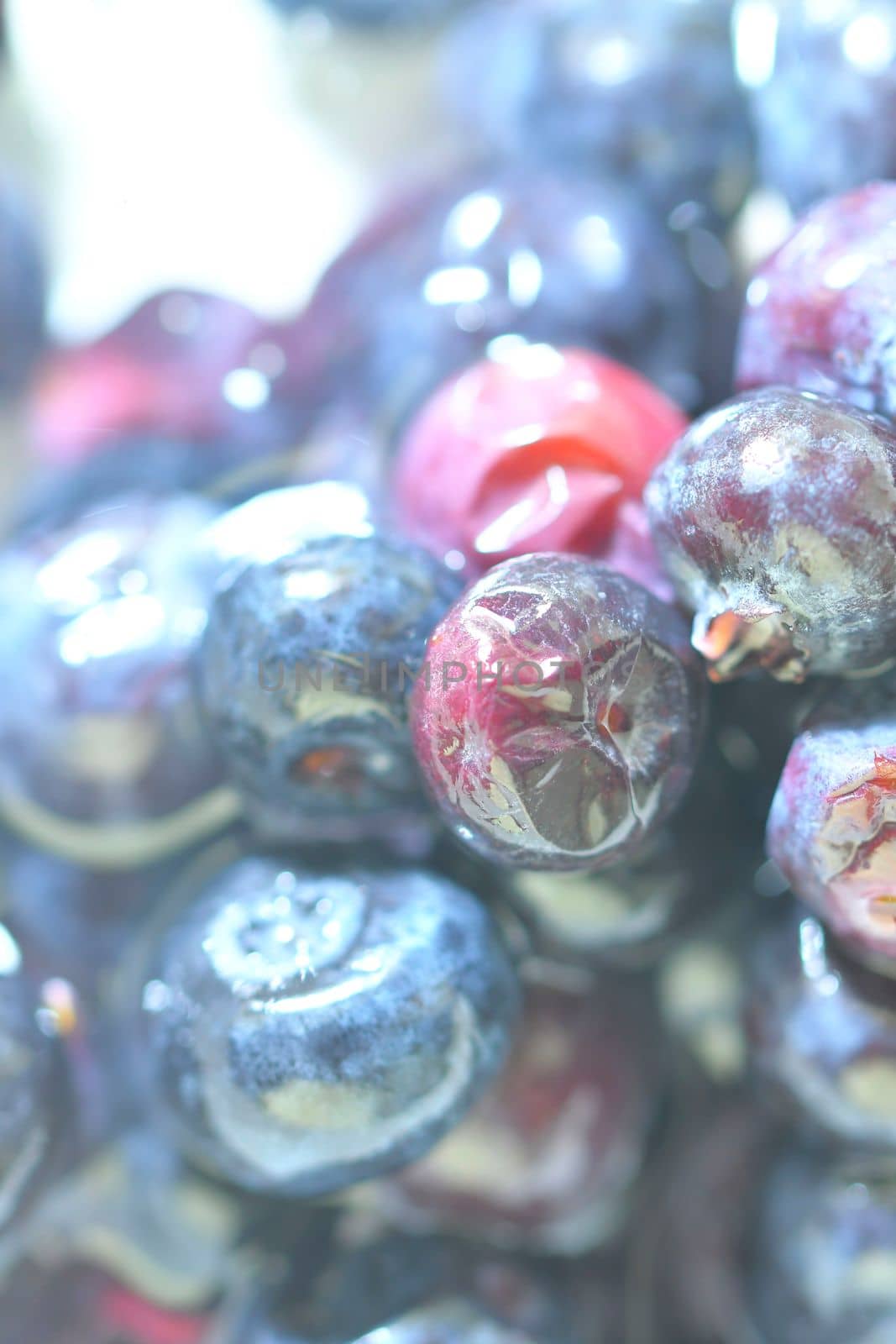 Blueberries, background of berries, top view. Defocused blueberry background. Texture of bilberries, flat design. Vertical macro image.