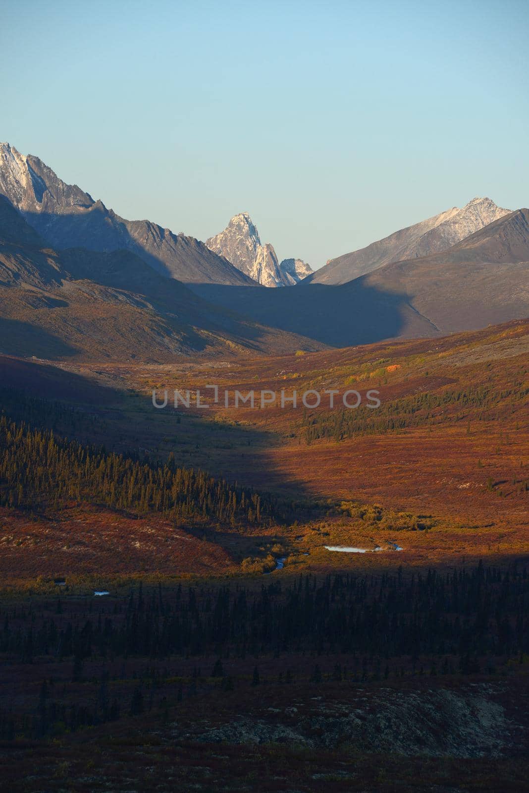 tombstone mountain landscape in yukon