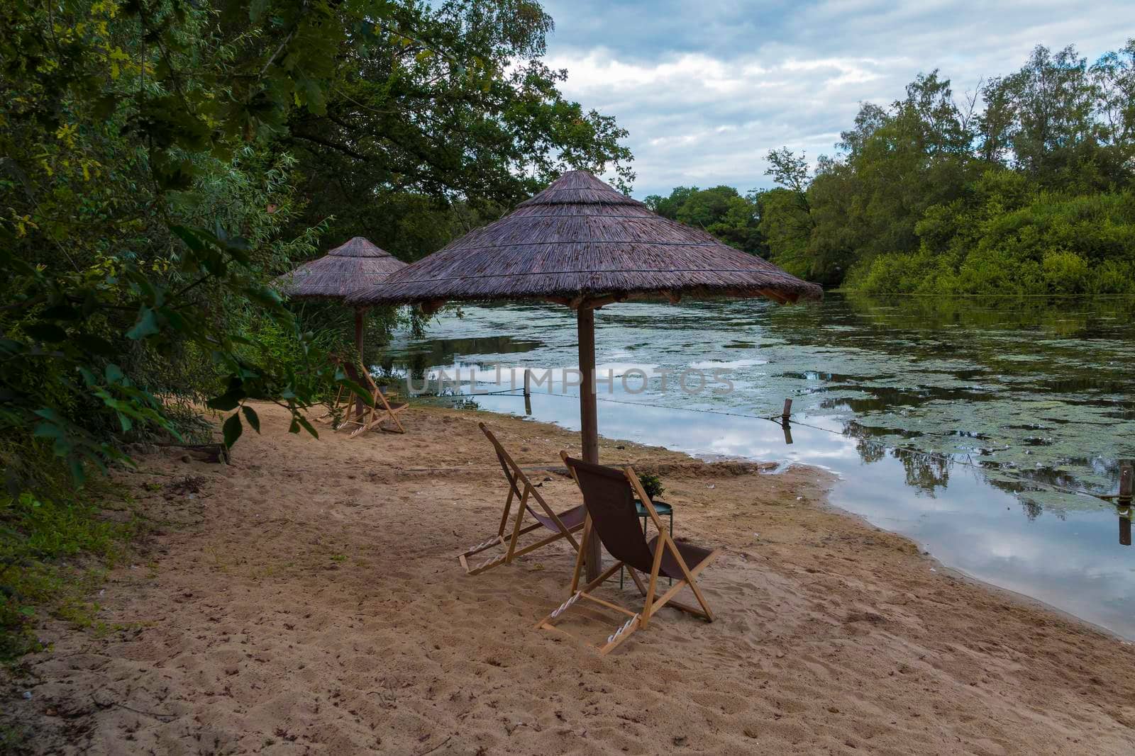 tropical thatched umbrellas on a beach on a lake in the netherlands in groenlo