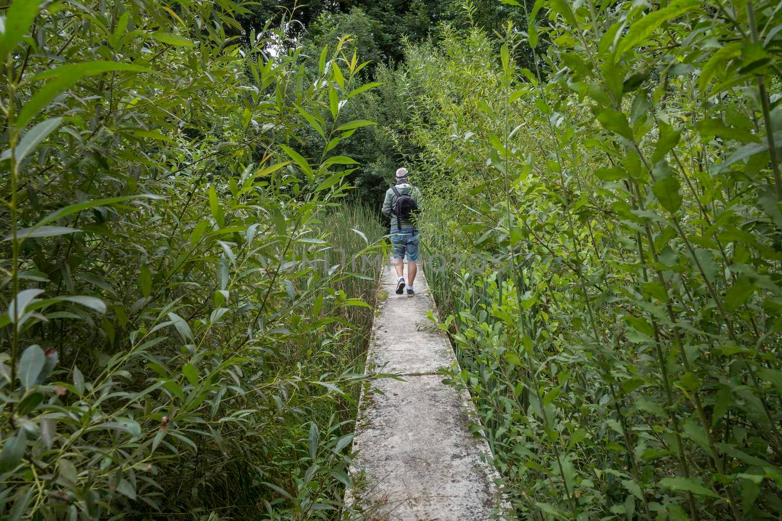 adult man with backpack in nature by compuinfoto