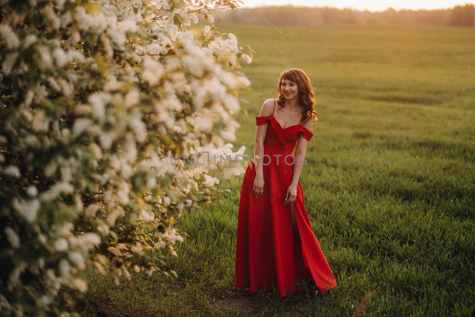 a girl in a red dress with red lips stands next to a large white flowering tree At sunset by Lobachad