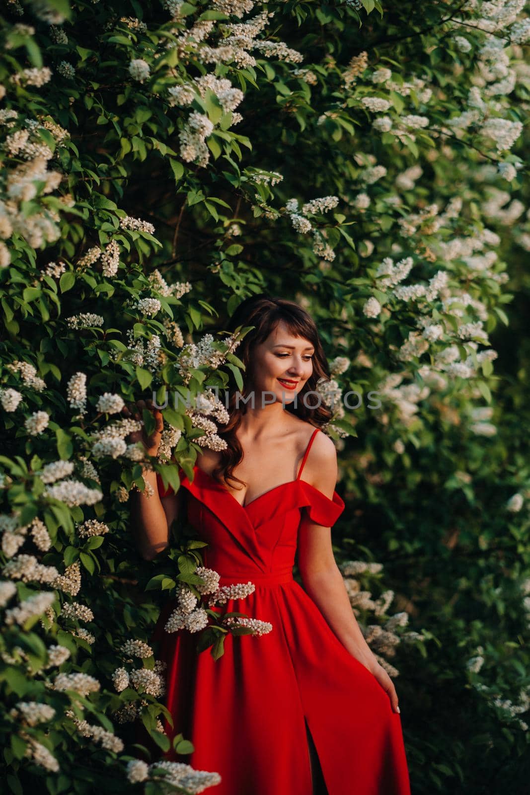 a girl in a red dress with red lips stands next to a large white flowering tree At sunset.