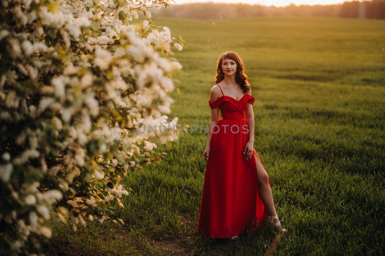 a girl in a red dress with red lips stands next to a large white flowering tree At sunset by Lobachad