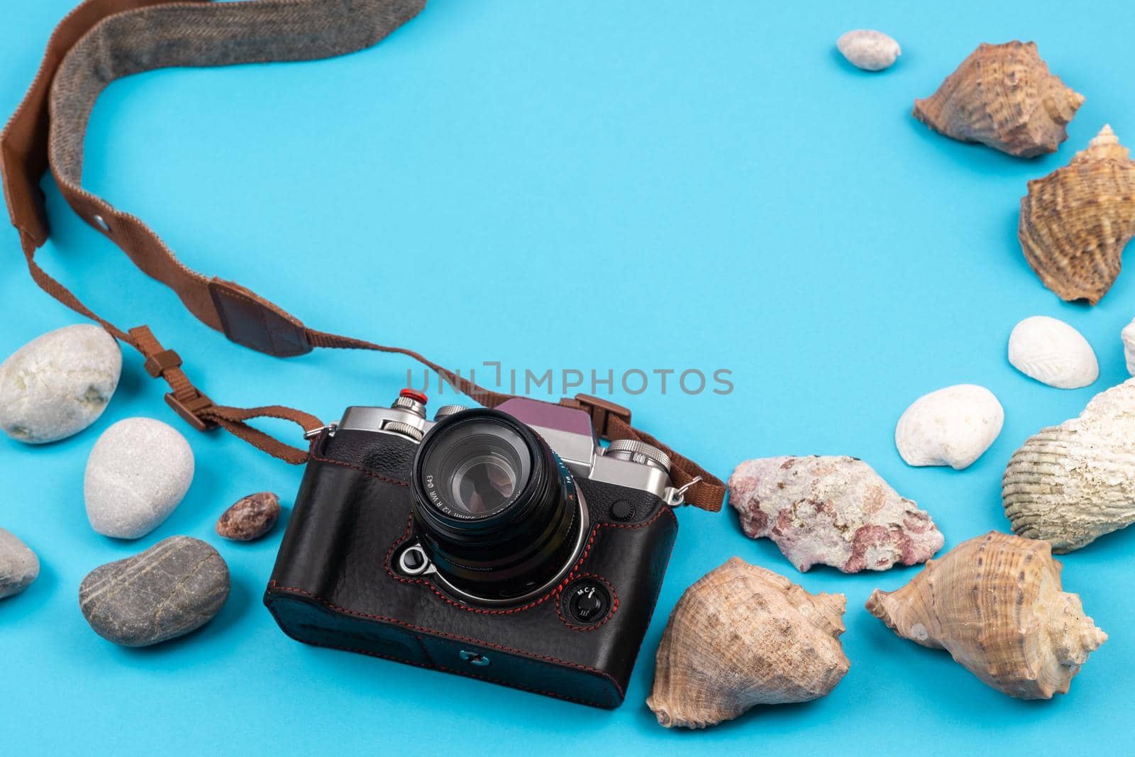 camera and seashells on a blue background.Background for the traveler.