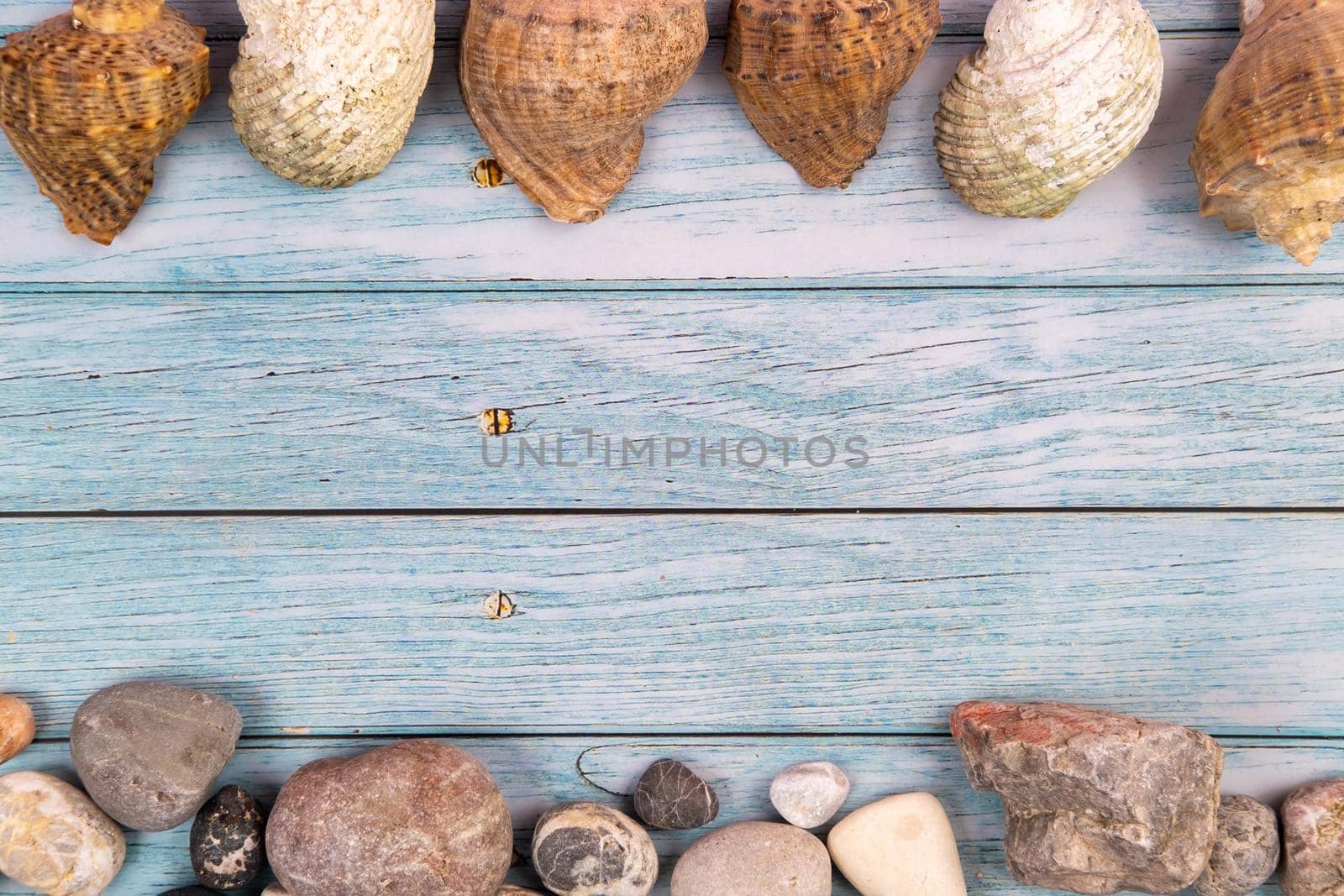 rocks and shells on a blue wooden background.Marine theme.