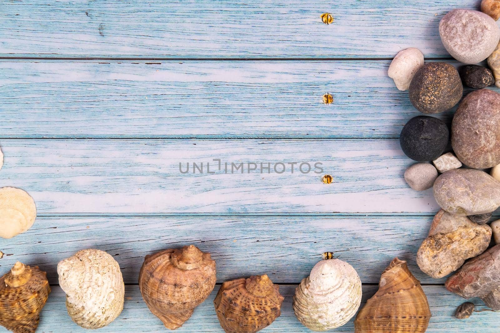 coconuts, rocks and shells on a blue wooden background.Marine theme.