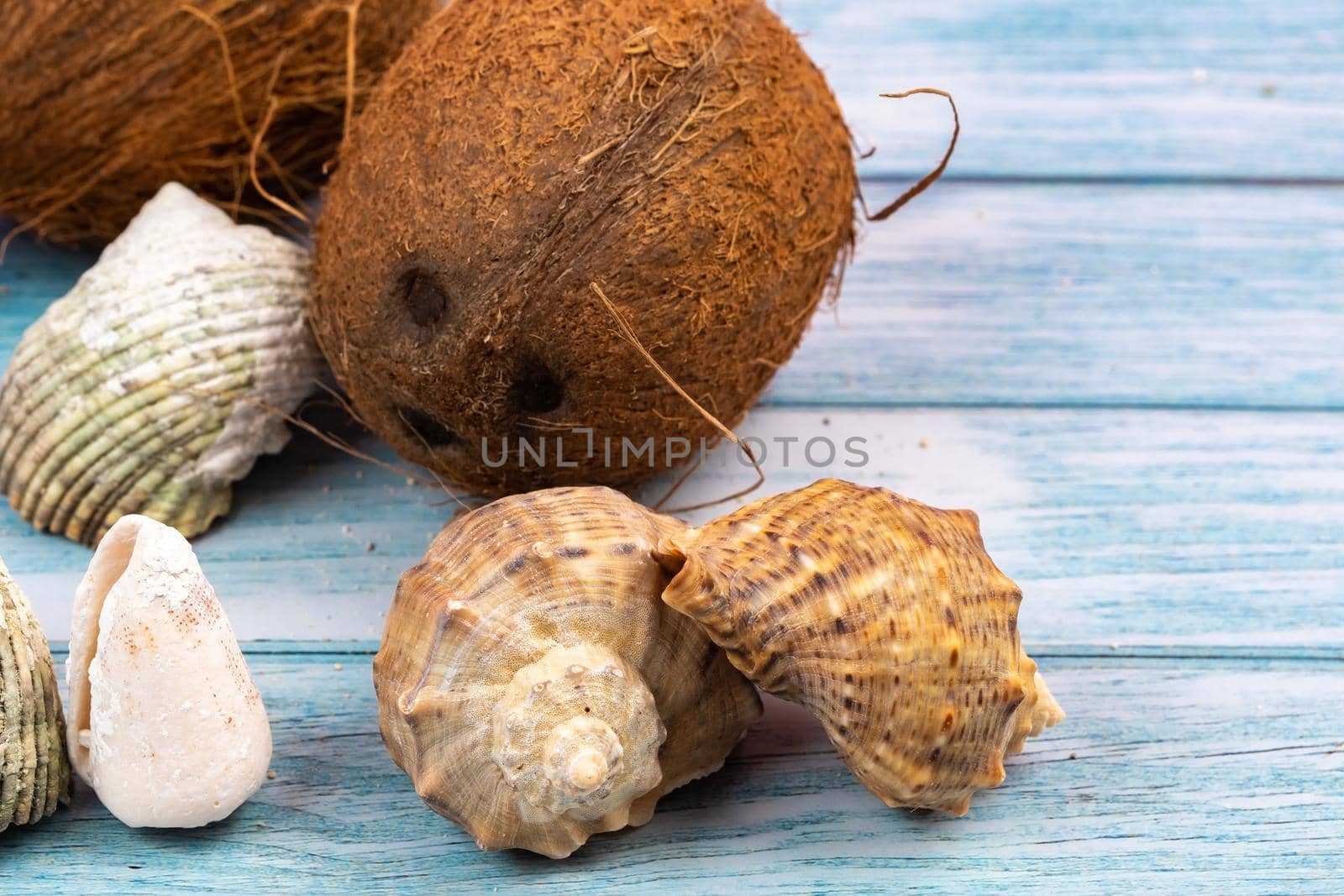 coconuts, rocks and shells on a blue wooden background.Marine theme.