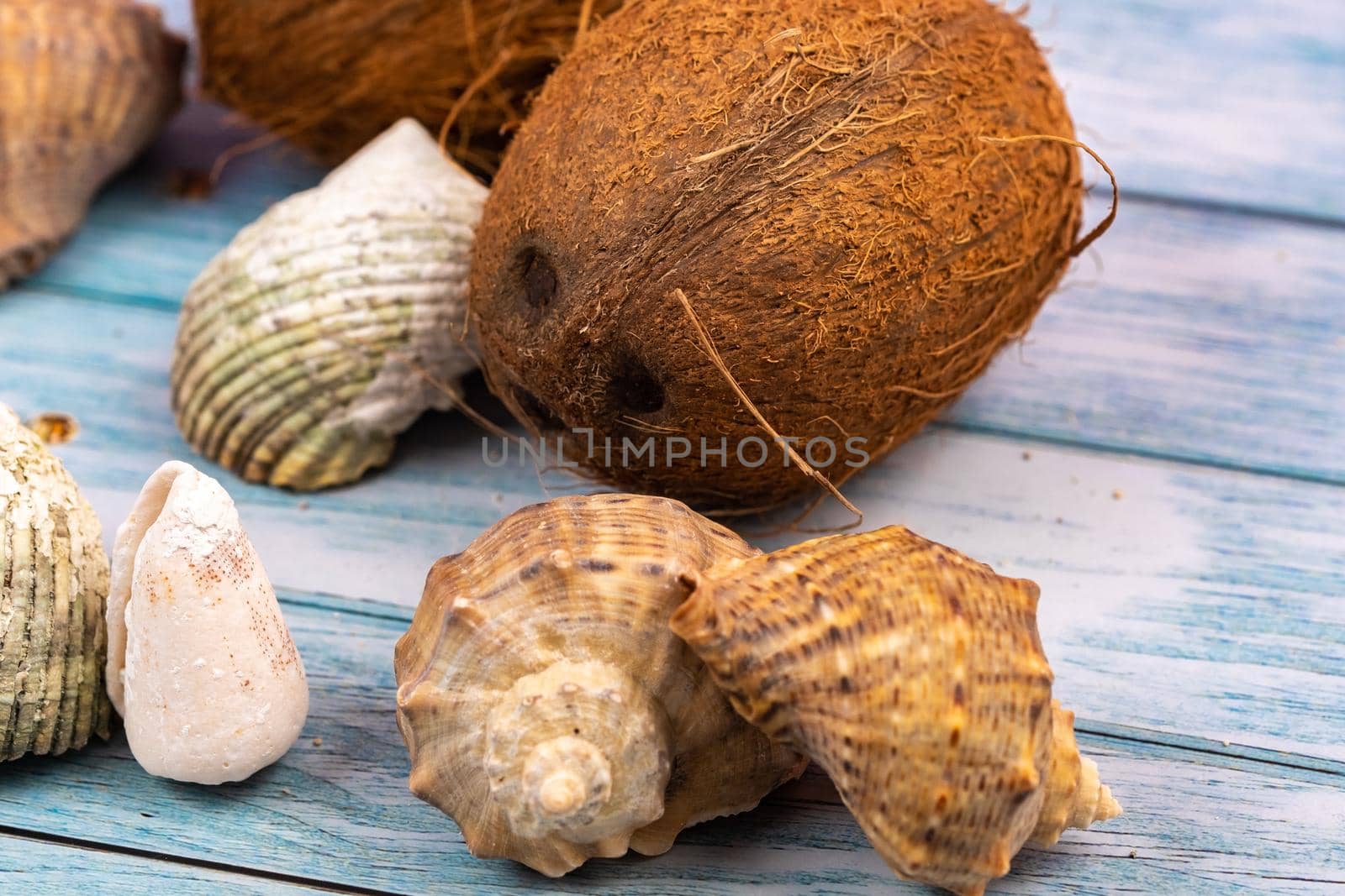 coconuts, rocks and shells on a blue wooden background.Marine theme.