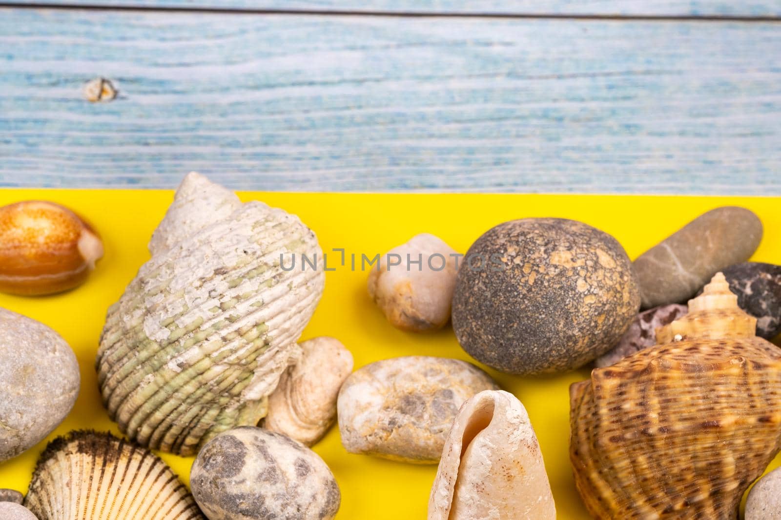 stones and shells on a blue wooden background and a yellow background.Marine theme.