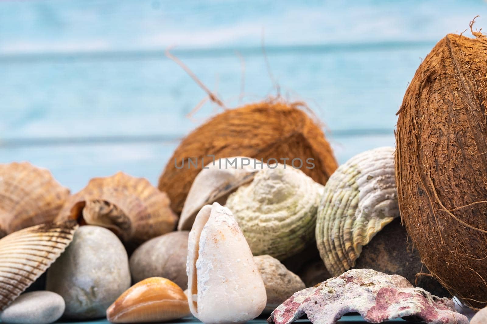 coconuts, rocks and shells on a blue wooden background.Marine theme.