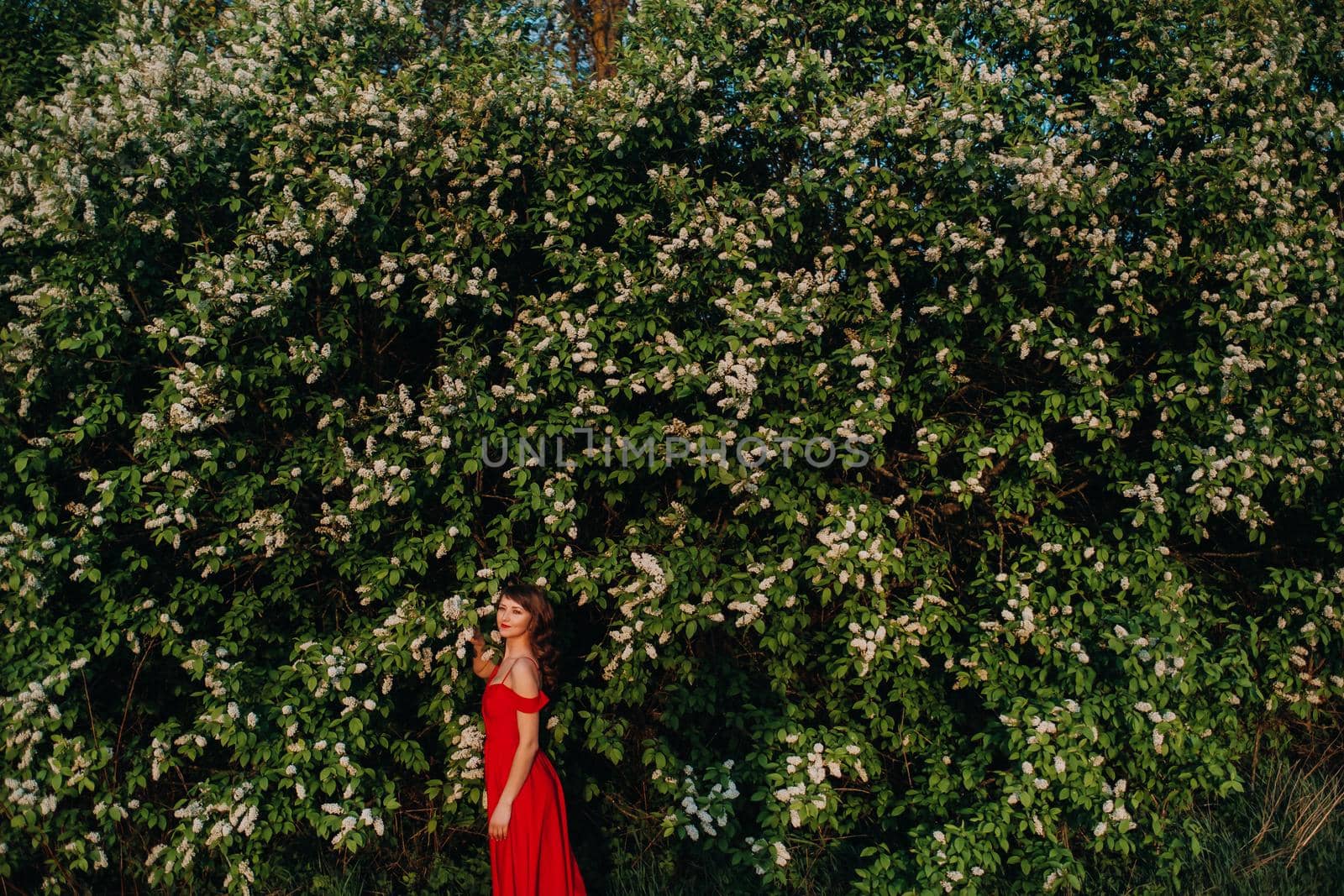 a girl in a red dress with red lips stands next to a large white flowering tree At sunset.