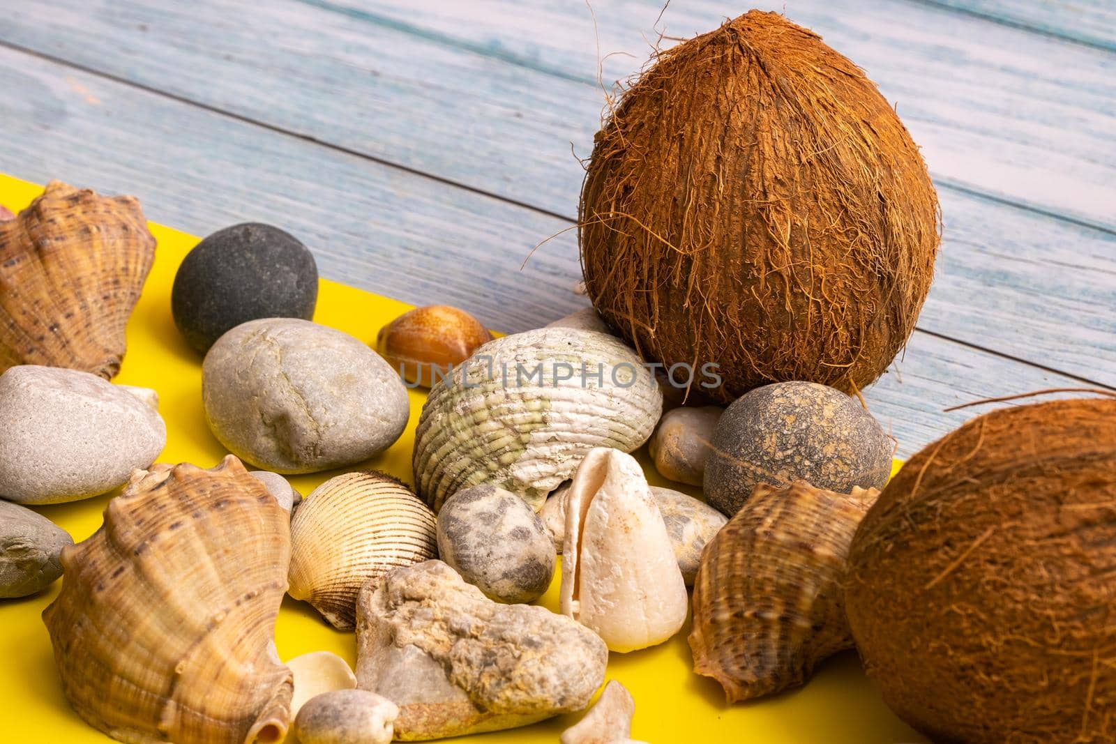 Coconuts, rocks and shells on a blue wooden background and a yellow background.Marine theme.