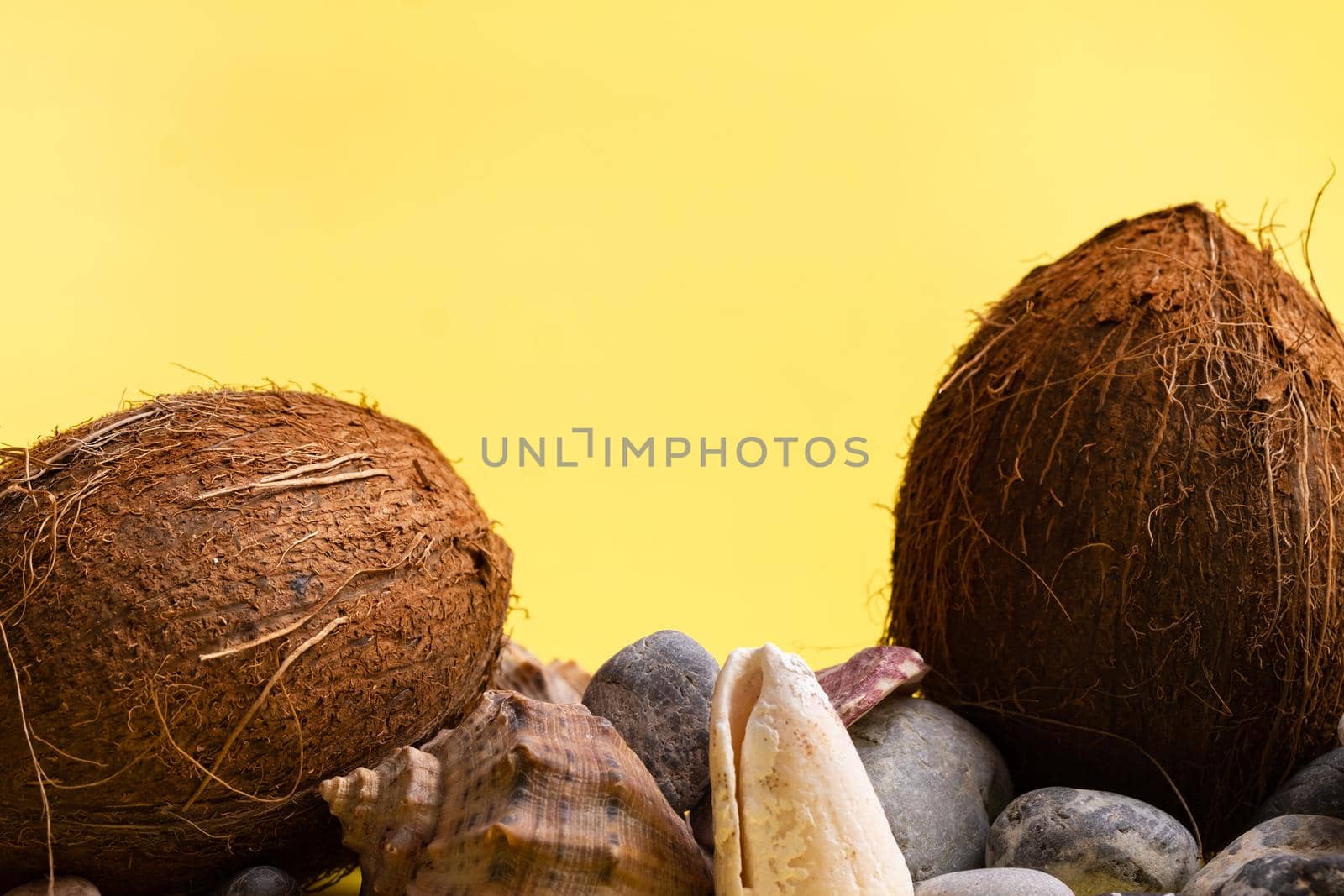 Coconuts, rocks and shells on a yellow background .Marine theme.