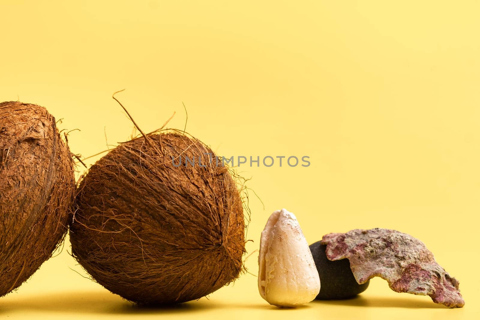 Whole Coconuts and shells on a yellow background .Marine theme.