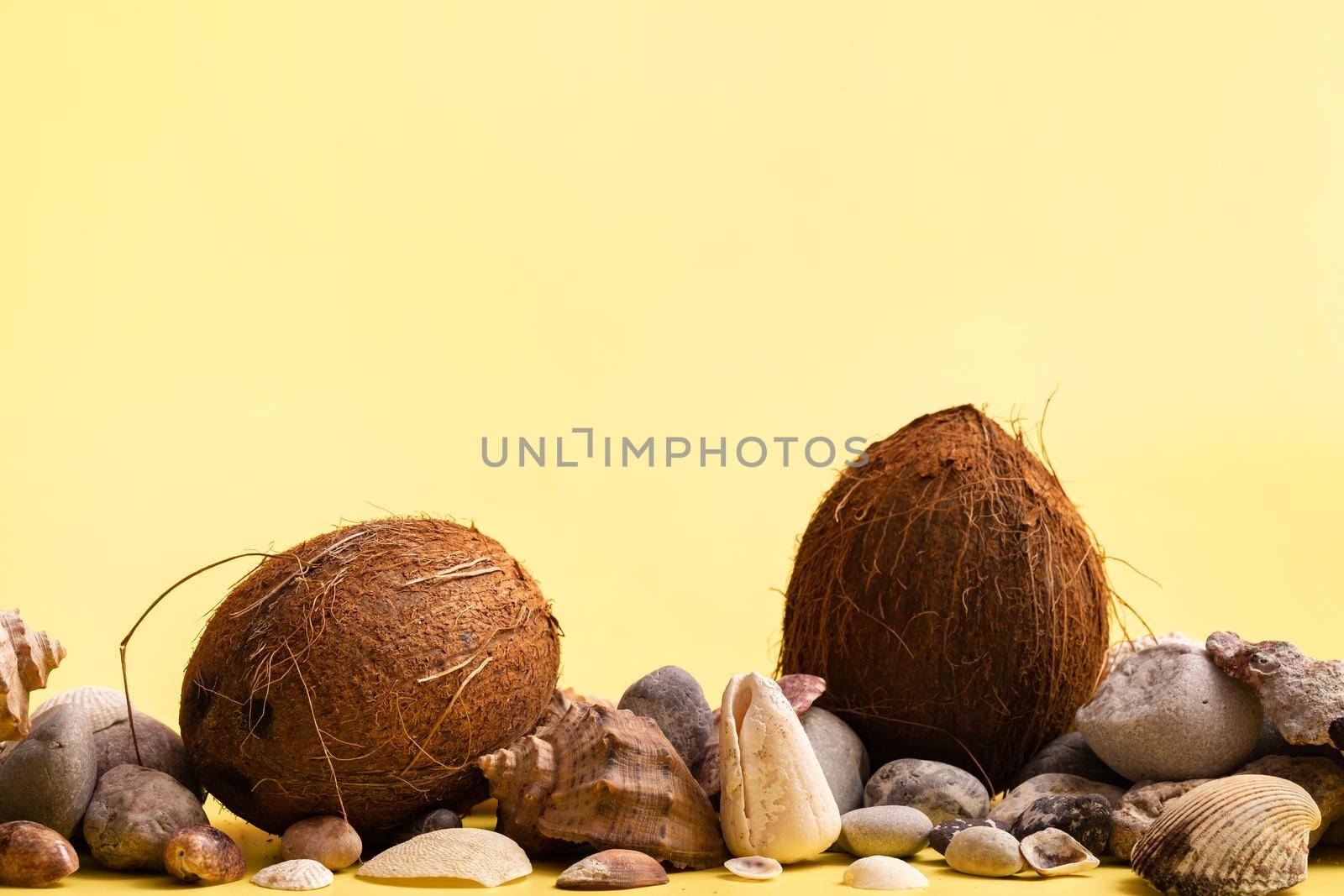 Coconuts, rocks and shells on a yellow background .Marine theme by Lobachad