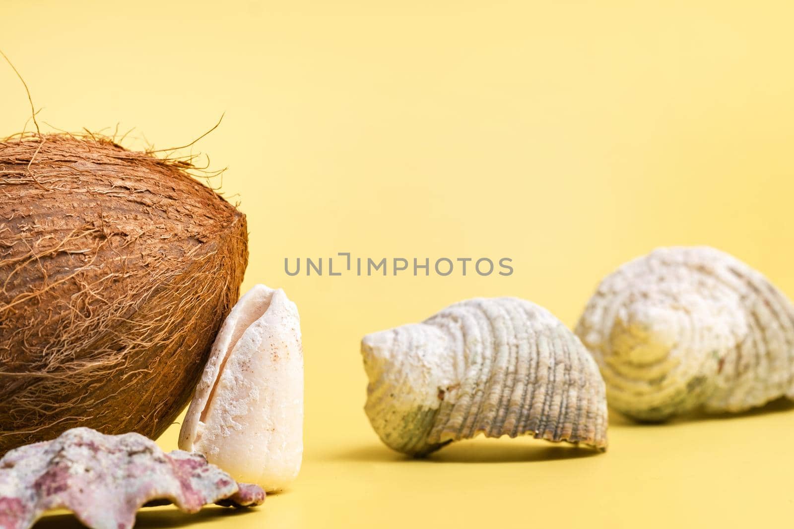 Whole Coconuts and shells on a yellow background .Marine theme.