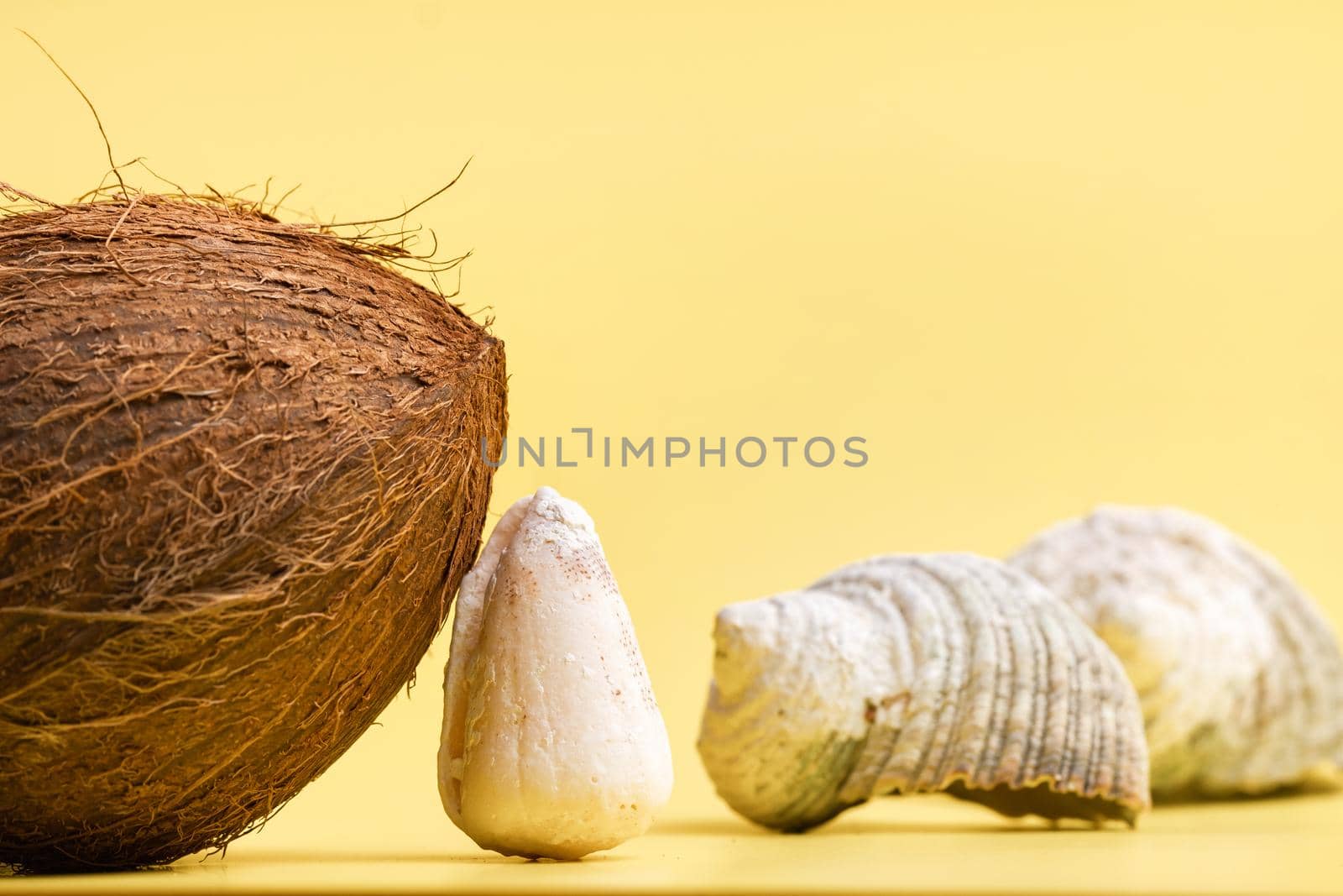 Whole Coconuts and shells on a yellow background .Marine theme.