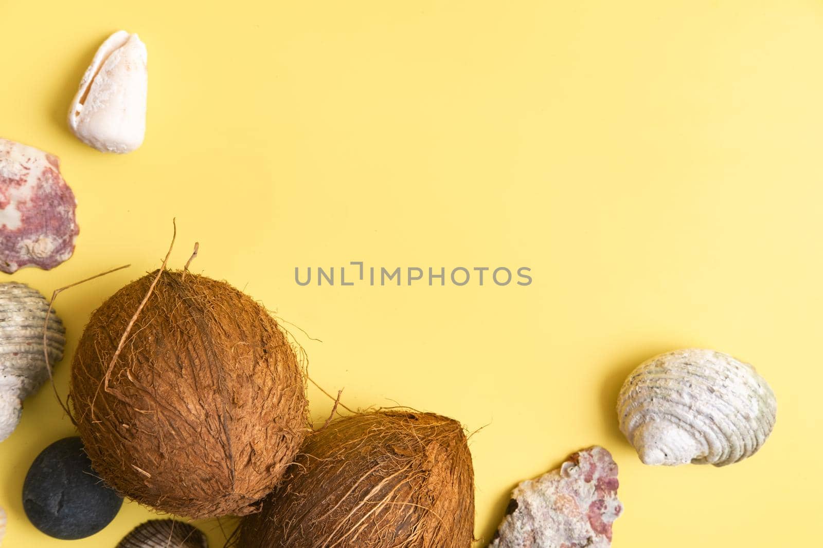 Whole Coconuts and shells on a yellow background .Marine theme.