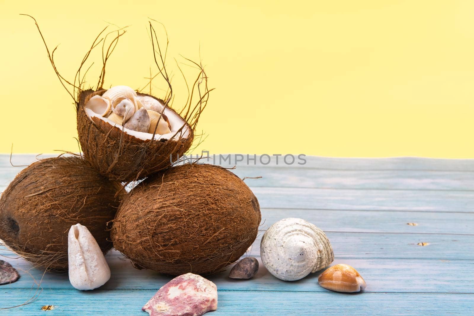 coconuts and shells on a yellow and blue wooden background .Marine theme.