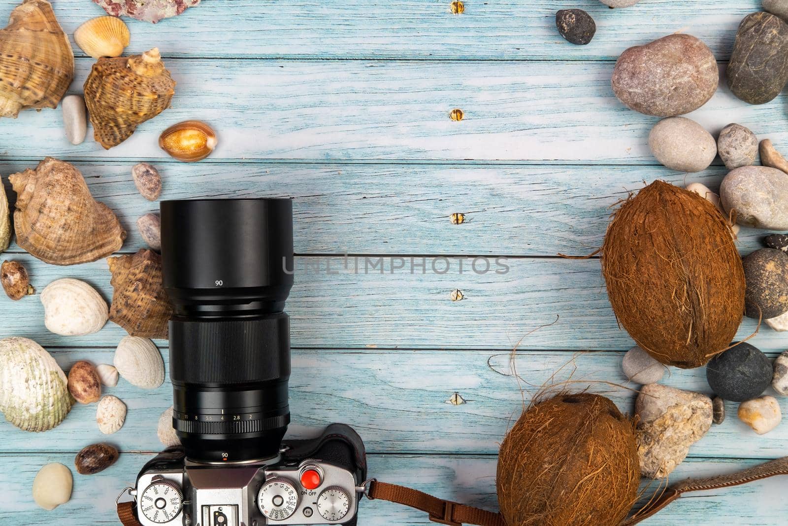 camera,coconuts and shells on a blue wooden background.Marine theme.