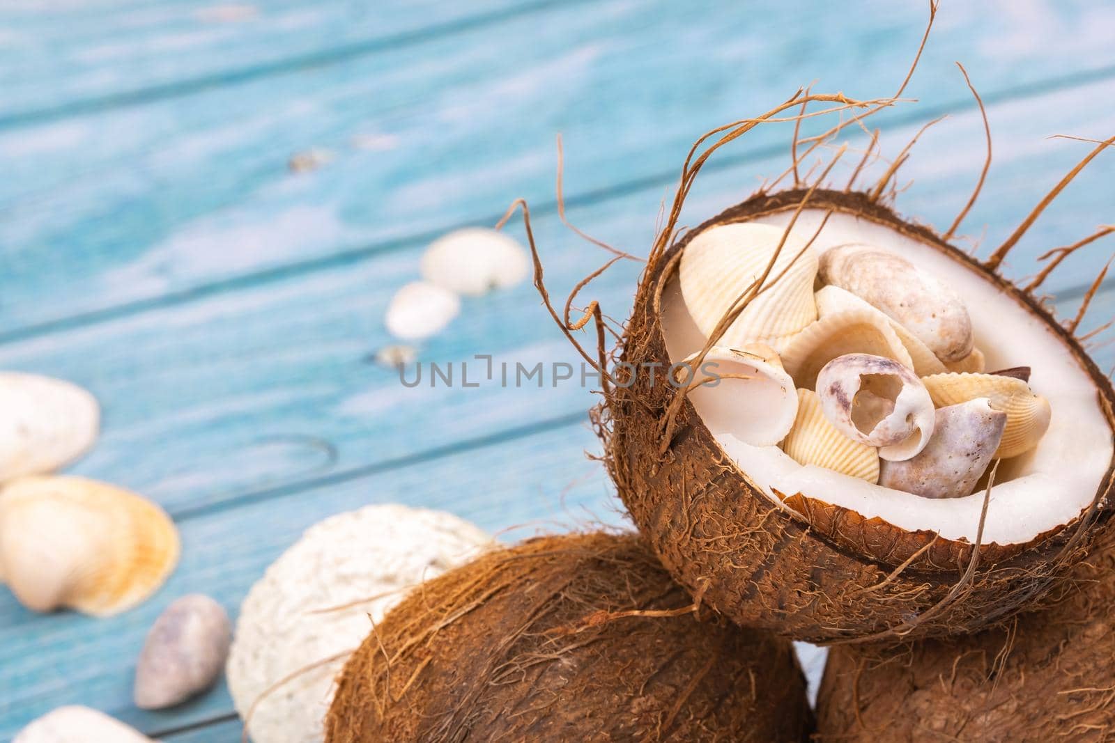 coconuts and seashells on a blue wooden background .Marine theme.