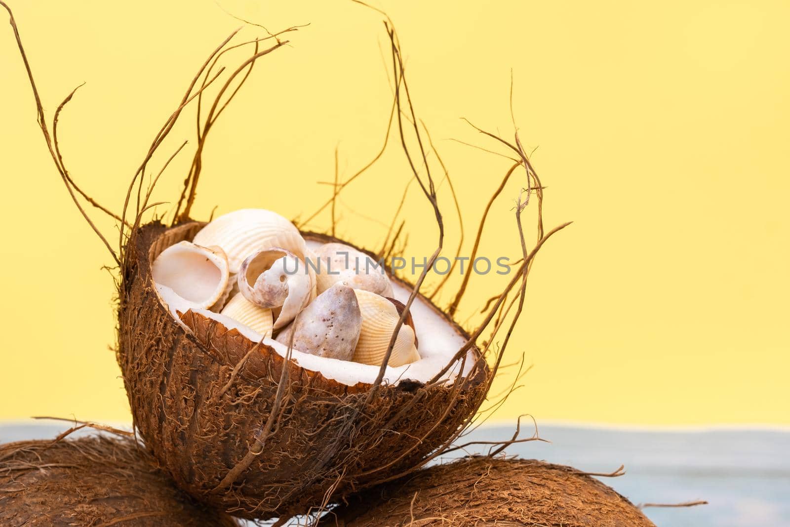 coconuts and shells on a yellow and blue wooden background .Marine theme.