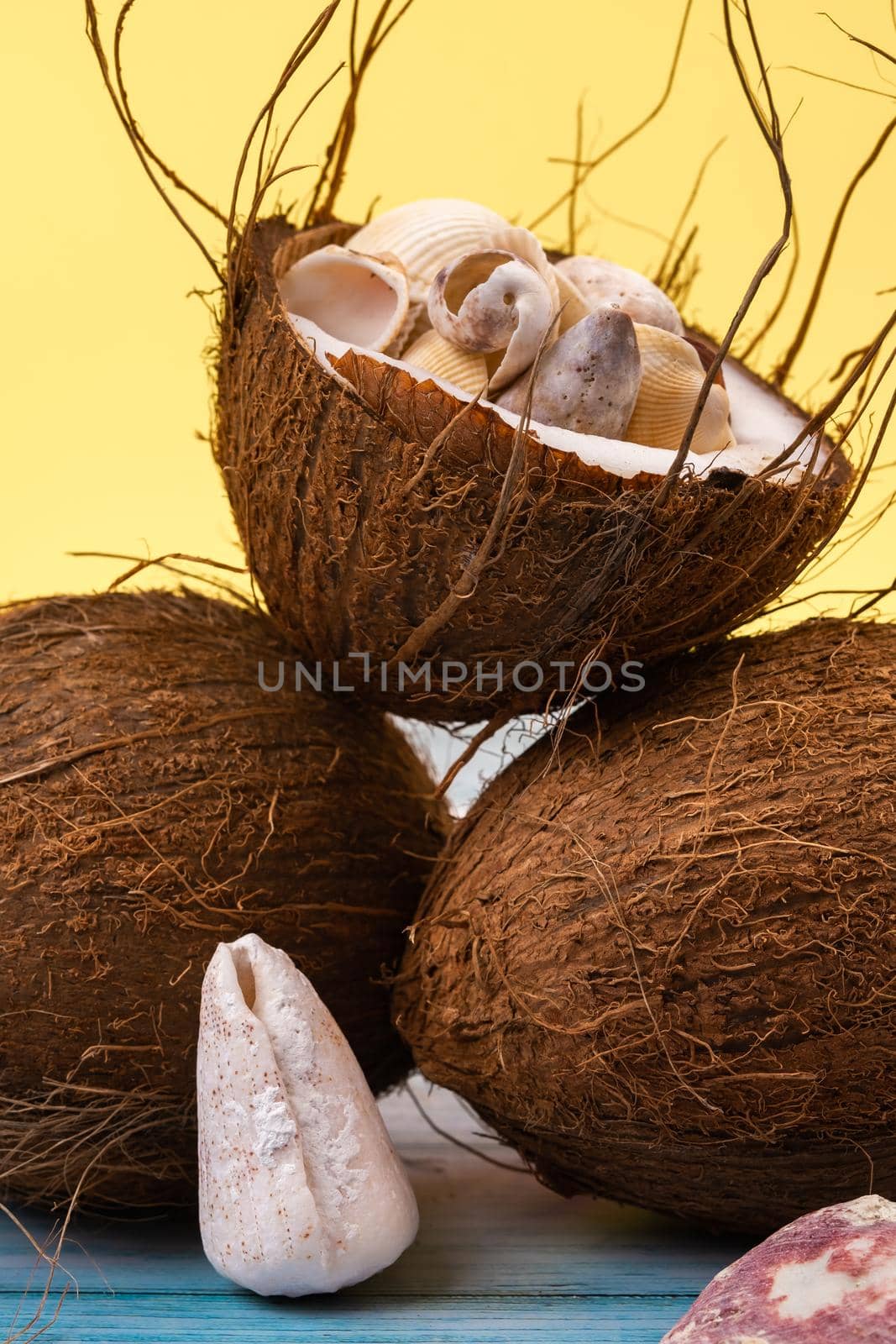 coconuts and shells on a yellow and blue wooden background .Marine theme.