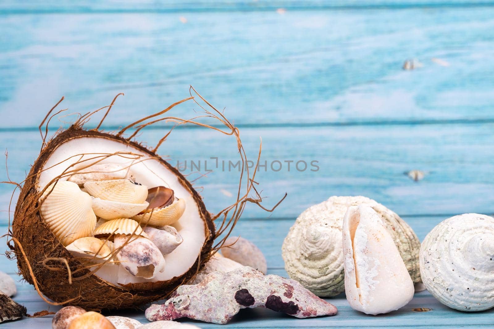 coconuts and seashells on a blue wooden background .Marine theme.