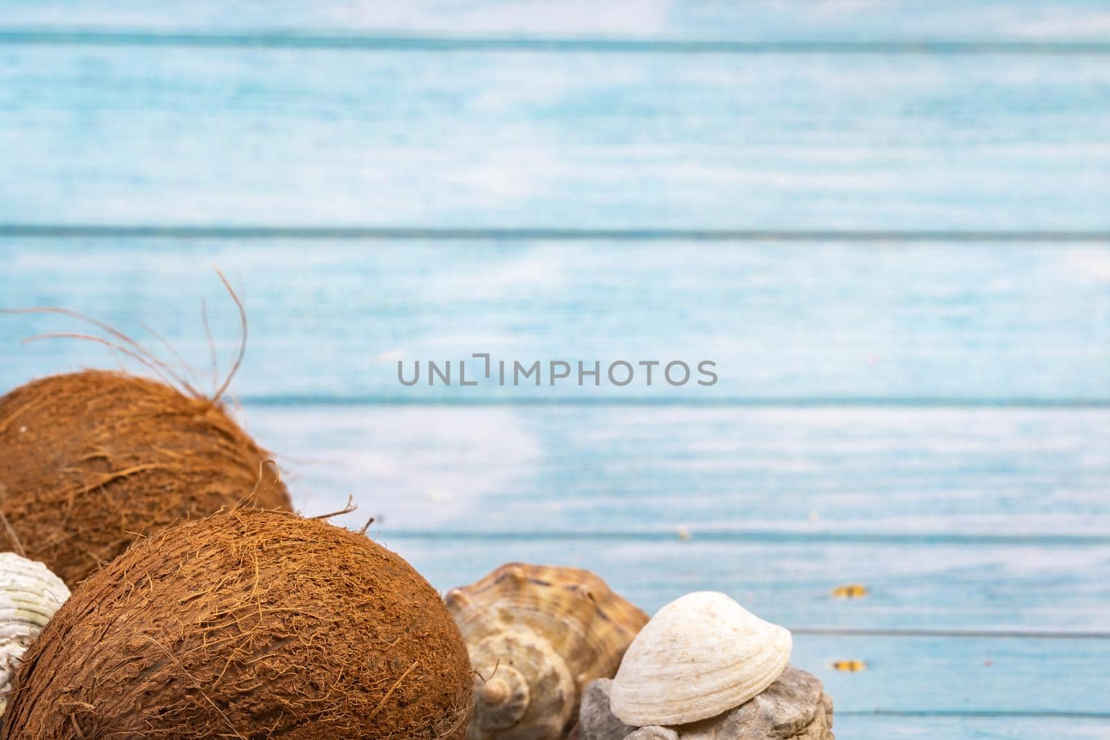 coconuts, rocks and shells on a blue wooden background.Marine theme.