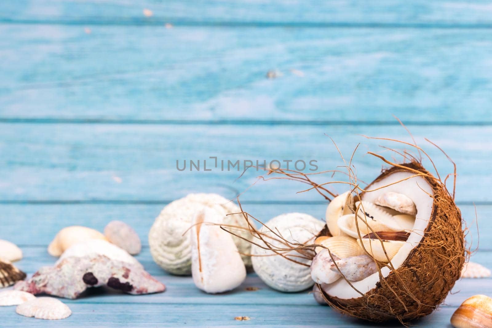 coconuts and seashells on a blue wooden background .Marine theme.