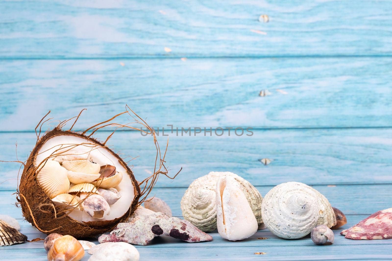 coconuts and seashells on a blue wooden background .Marine theme.