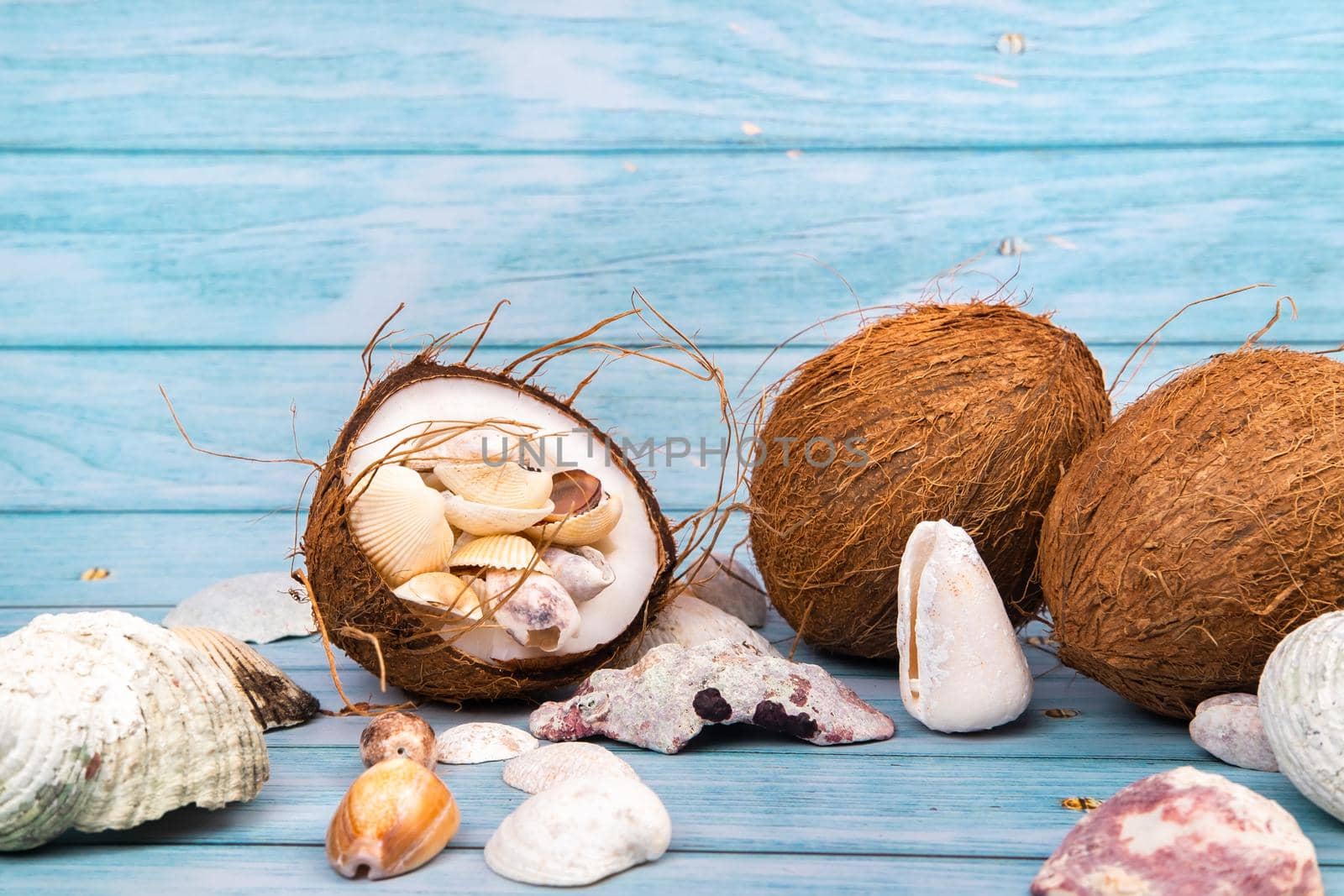 coconuts and seashells on a blue wooden background .Marine theme.