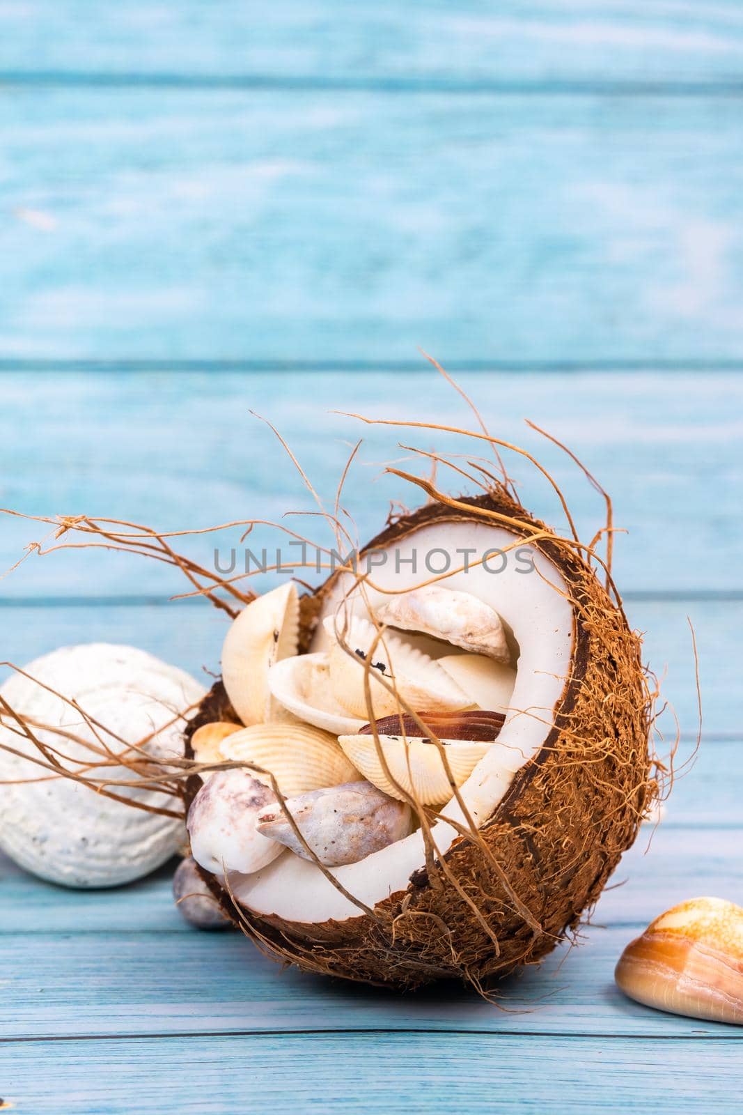 coconuts and seashells on a blue wooden background .Marine theme by Lobachad