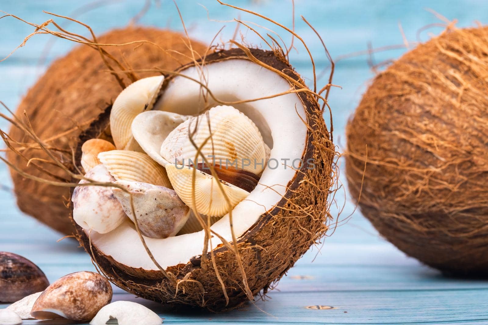 coconuts and seashells on a blue wooden background .Marine theme.
