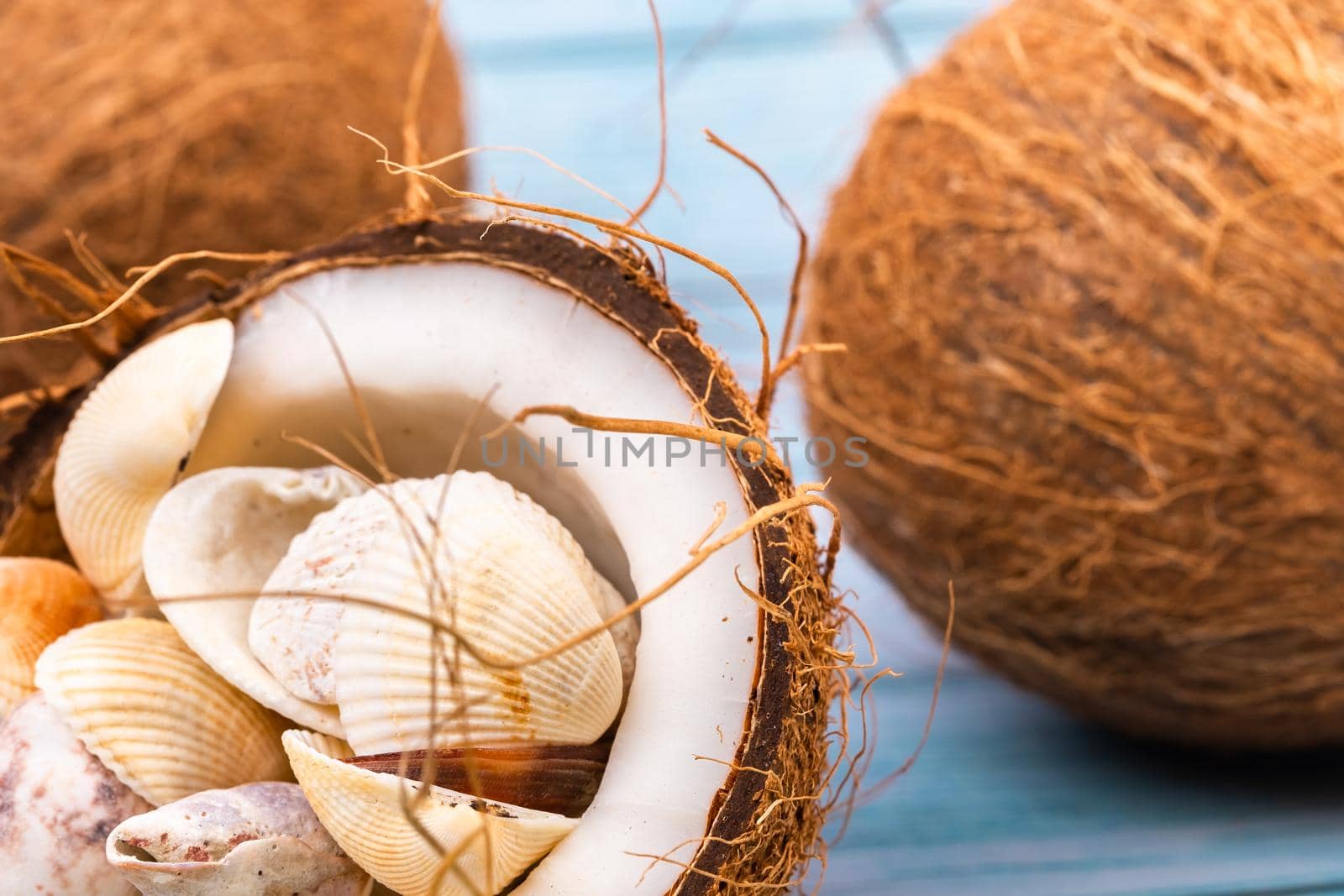 coconuts and seashells on a blue wooden background .Marine theme by Lobachad