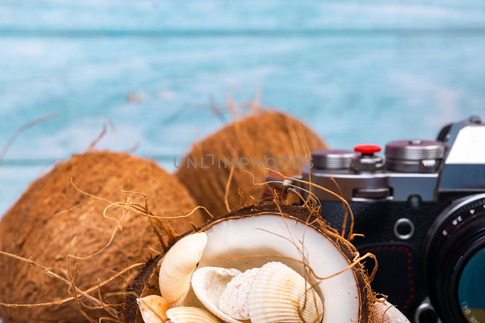 camera,coconuts and shells on a blue wooden background.Marine theme.