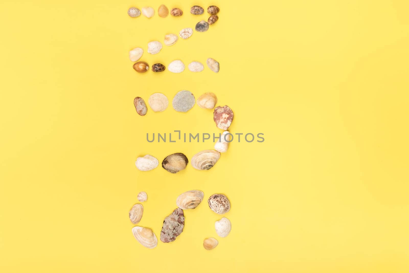 The inscription of the word sun is made of shells on a yellow background.Travel concept.