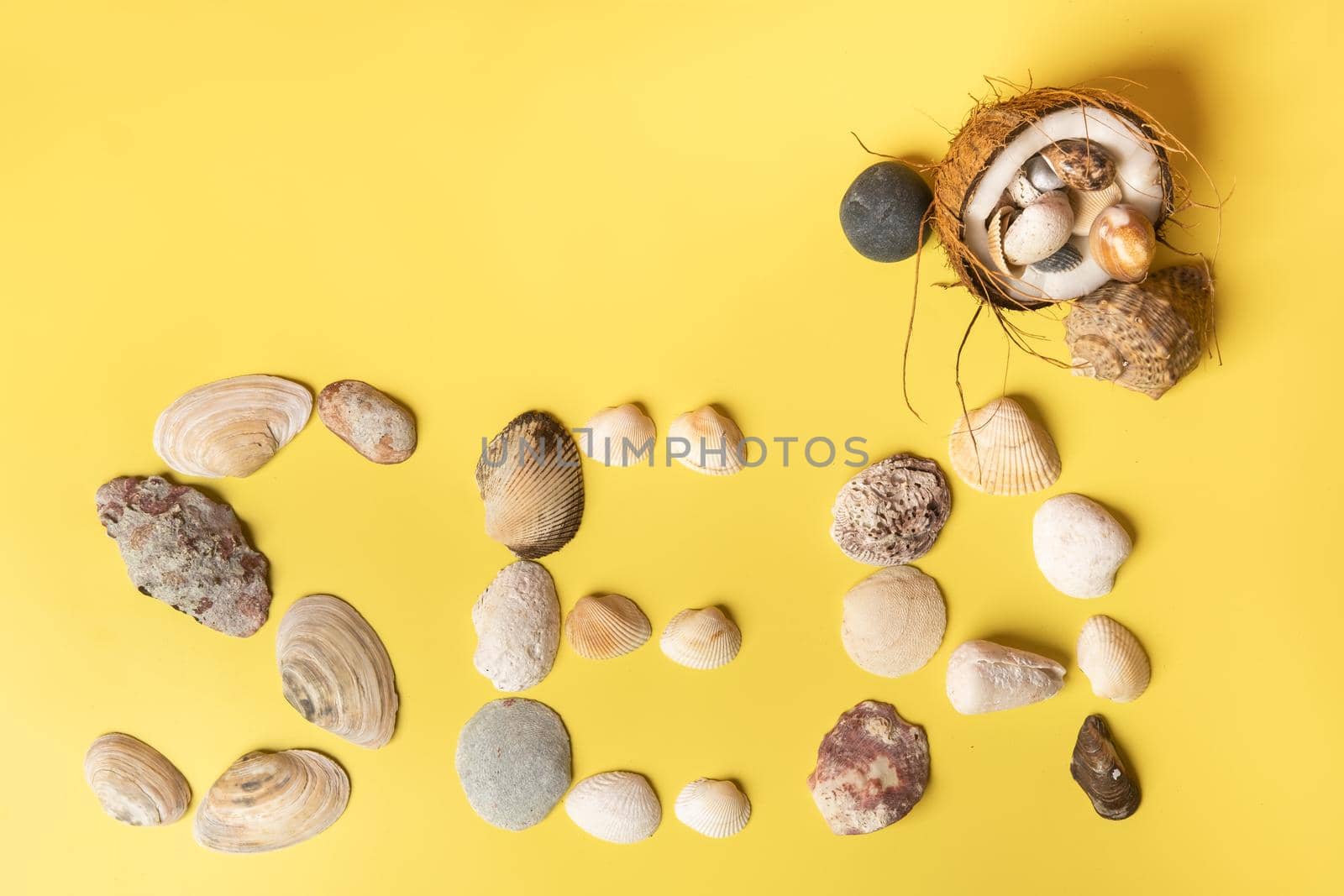 The inscription of the word sea of shells on a yellow background.Travel concept.