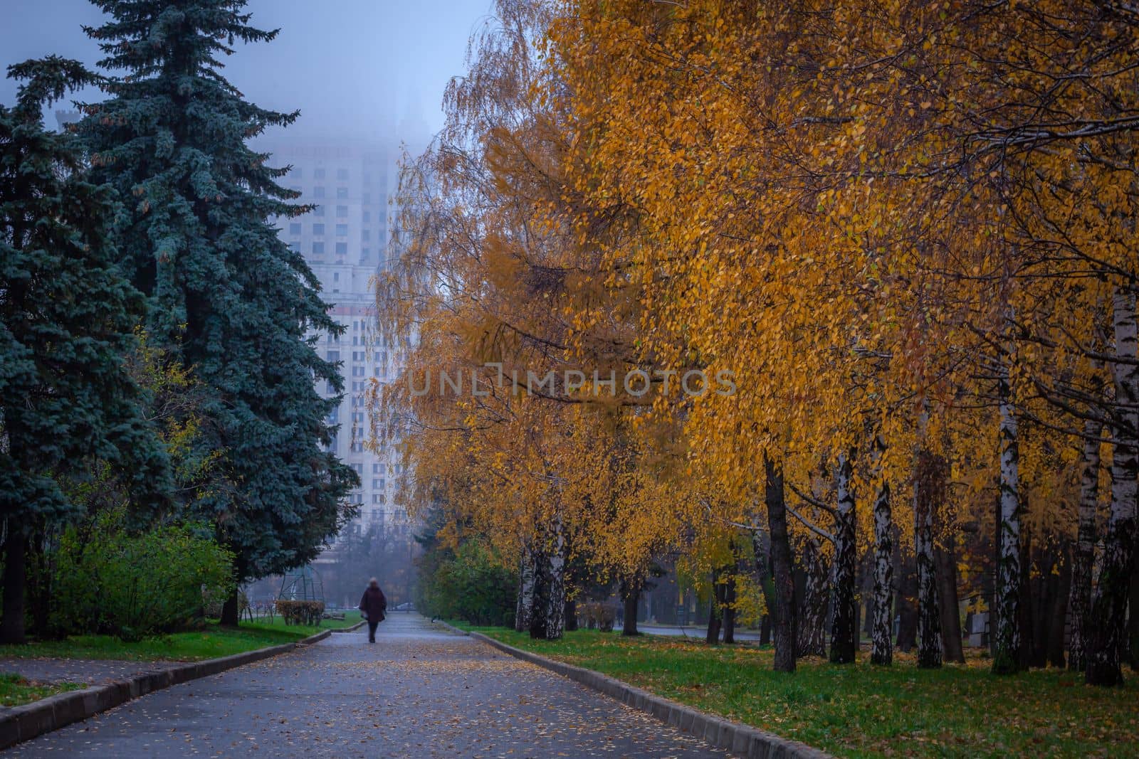 Rain in Moscow, woman walking with one umbrella on city street near red square at autumn, Russia
