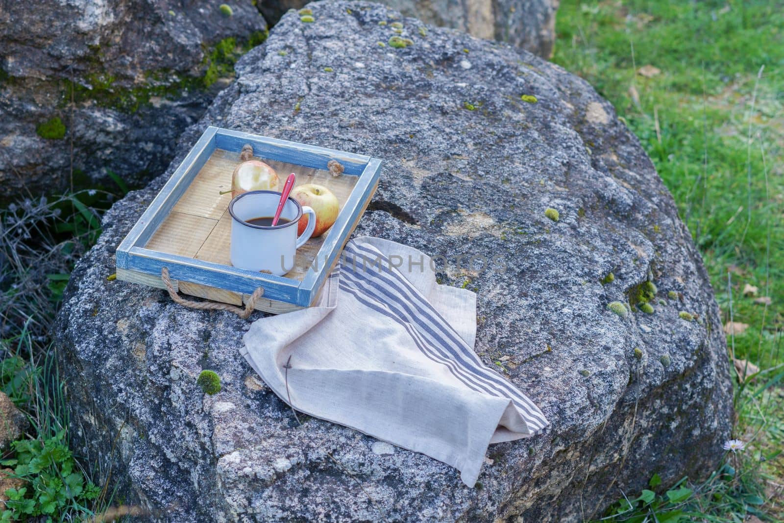 tray with cup of coffee and fruit on a rock in the field