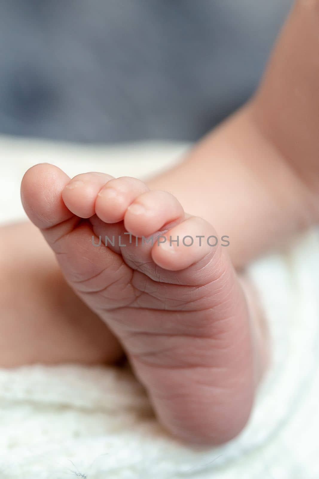 Close-up of small baby legs. The sleeping Newborn boy under a white knitted blanket lies on the blue fur. by nazarovsergey