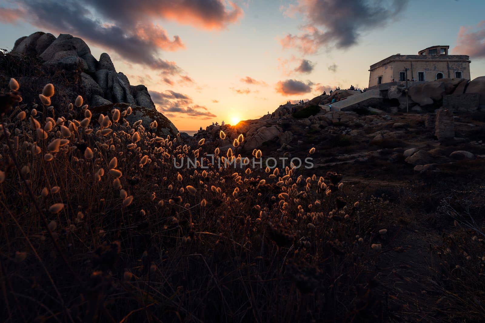 The thickets shine illuminated by the sunlight at sunset in a rocky landscape, in the blue and orange sky there are some clouds, relaxing feeling of peace and tranquility, Capo Testa, Sardinia, Italy