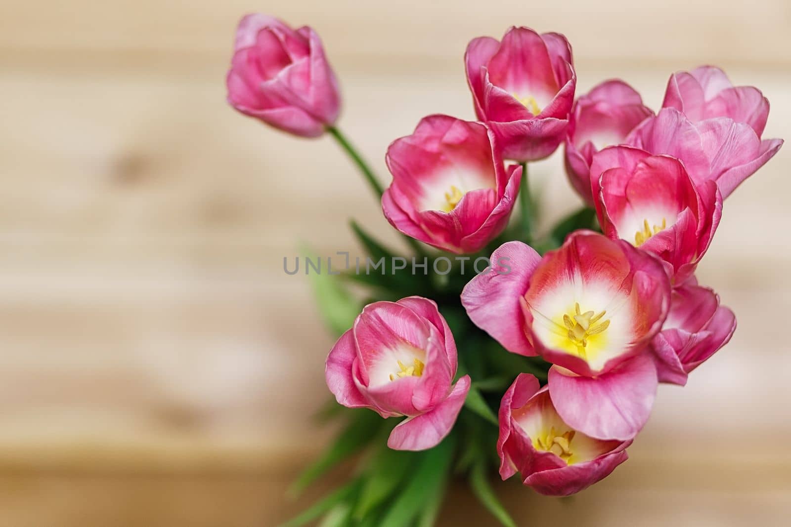 beautiful bouquets of rose tulips in spring on the dark background