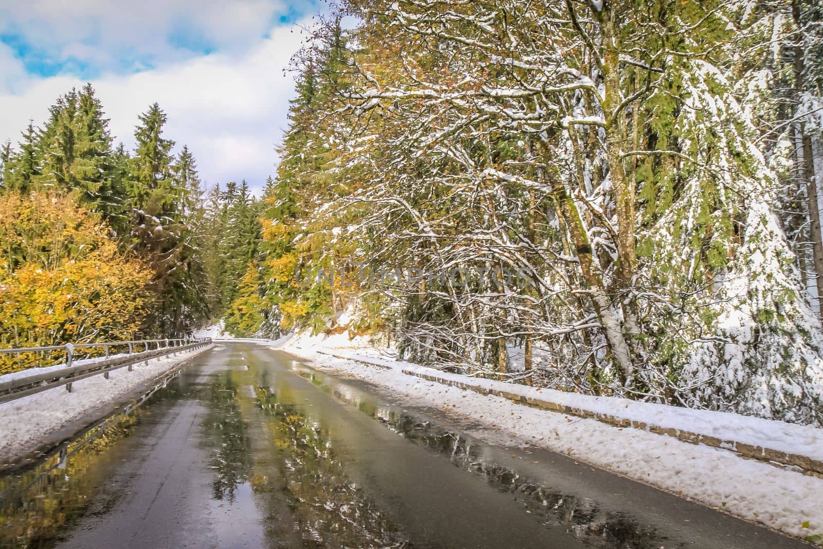 Mountain road and snowcapped pine trees at autumn sunrise in Bavarian Alps, Germany