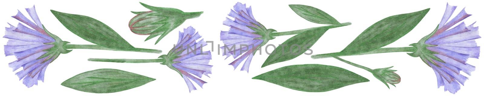 Set of Blue Flowers with Green Leaves Isolated on White Background. Blue Flower Element Drawn by Colored Pencil Collection.