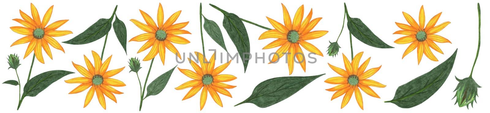 Set of Hand Drawn Yellow Flower with Green Leaves Isolated on White Background. by Rina_Dozornaya