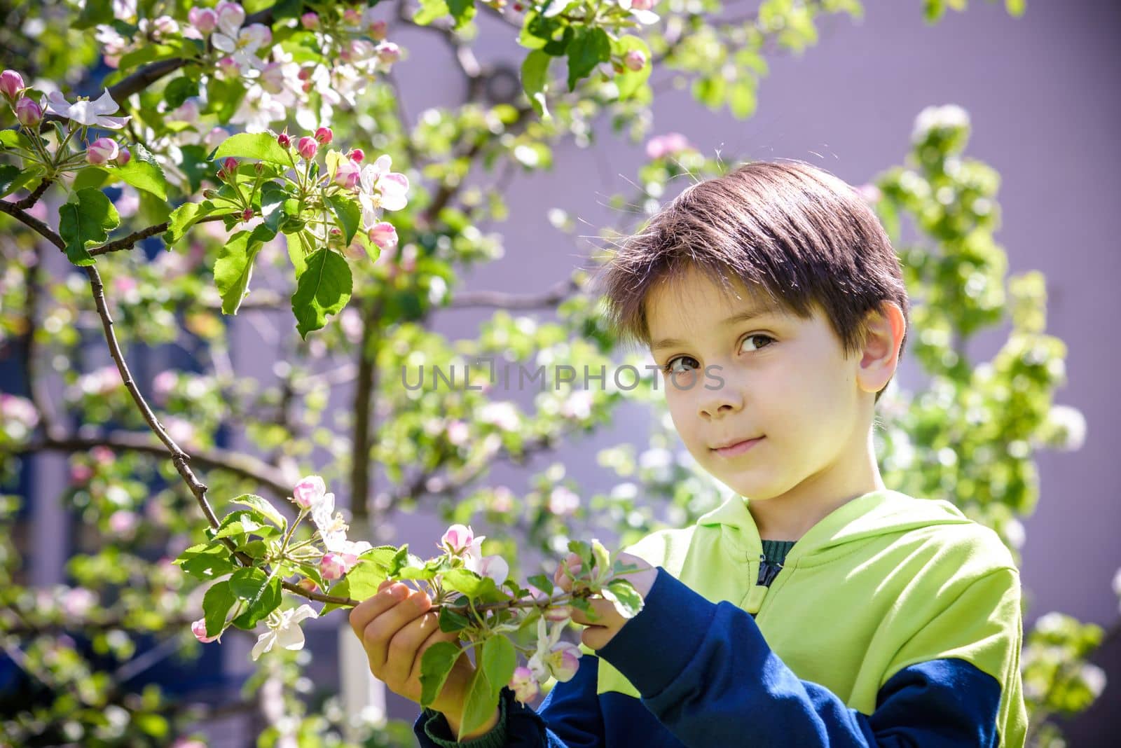 seven year old boy looks at a flowering tree in spring afternoon by Kobysh