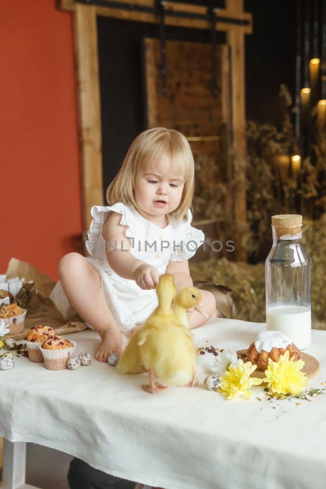 A little girl is sitting on the Easter table and playing with cute fluffy ducklings. The concept of celebrating happy Easter. by Annu1tochka