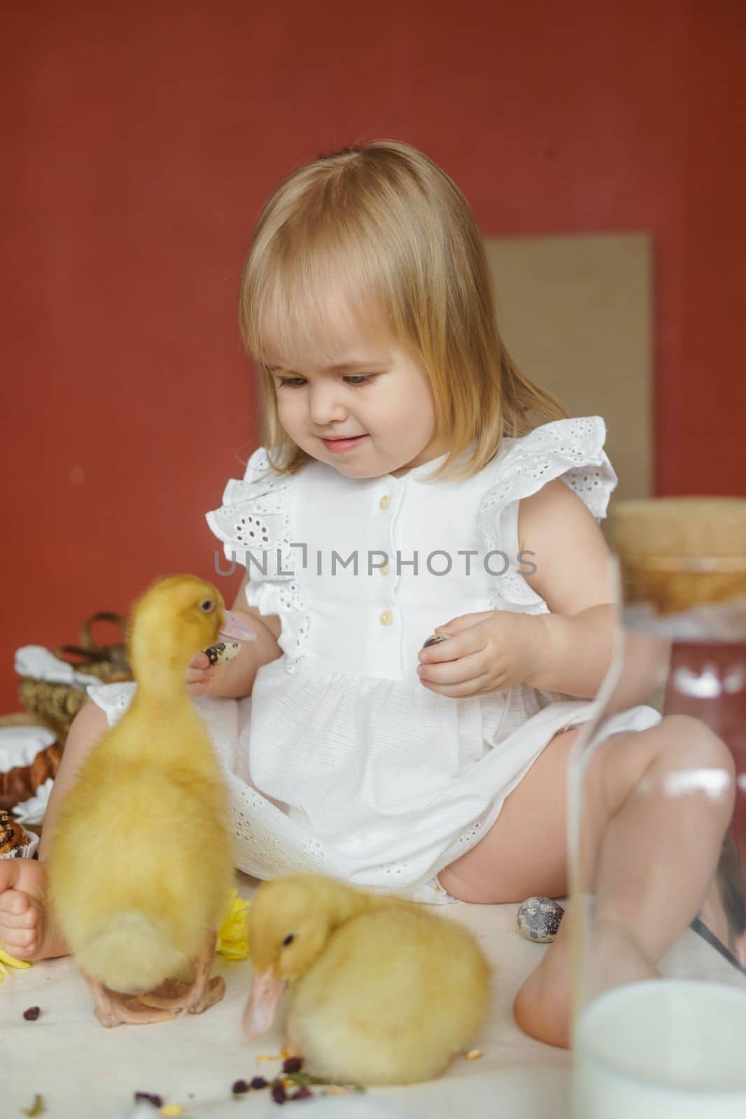 A little girl is sitting on the Easter table and playing with cute fluffy ducklings. The concept of celebrating happy Easter